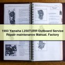 1993 Yamaha L250TURR Outboard Service Repair maintenance Manual. Factory