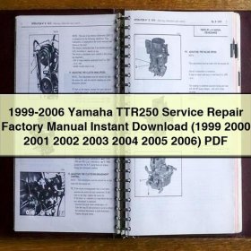 1999-2006 Yamaha TTR250 Service Repair Factory Manual (1999 2000 2001 2002 2003 2004 2005 2006)