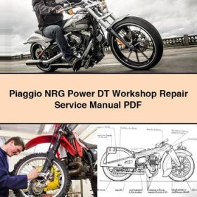 Piaggio NRG Power DT Workshop Service Repair Manual