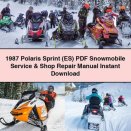 1987 Polaris Sprint (ES) Snowmobile Service Repair Manual