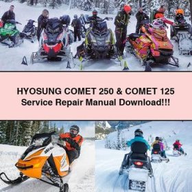 HYOSUNG COMET 250 & COMET 125 Service Repair Manual