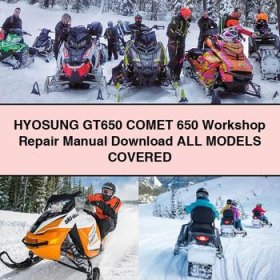 HYOSUNG GT650 COMET 650 Workshop Repair Manual All ModelS COVERED