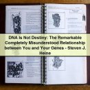 DNA Is Not Destiny: The Remarkable Completely Misunderstood Relationship between You and Your Genes-Steven J. Heine