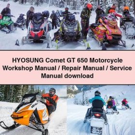 HYOSUNG Comet GT 650 Motorcycle Workshop Manual/Repair Manual/Service Manual download