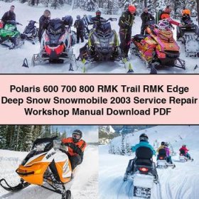 Polaris 600 700 800 RMK Trail RMK Edge Deep Snow Snowmobile 2003 Service Repair Workshop Manual
