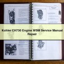 Kohler CH730 Engine WSM Service Manual Repair