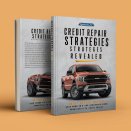Credit Repair Strategies Revealed