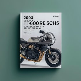 2003 Yamaha TT600RE 5CH5 Workshop Service Repair Manual